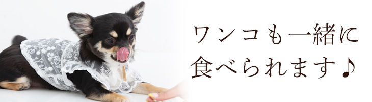 ワンコも一緒