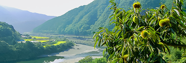 あじわい