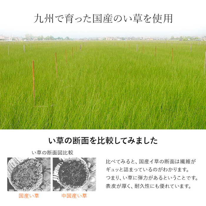 い草シーツ セミダブル 約110×200cm 寝具 シーツ 敷きパッド 国産 日本製 さらさら 吸汗 調湿 消臭 お手入れ簡単 ブルー｜rewall｜04