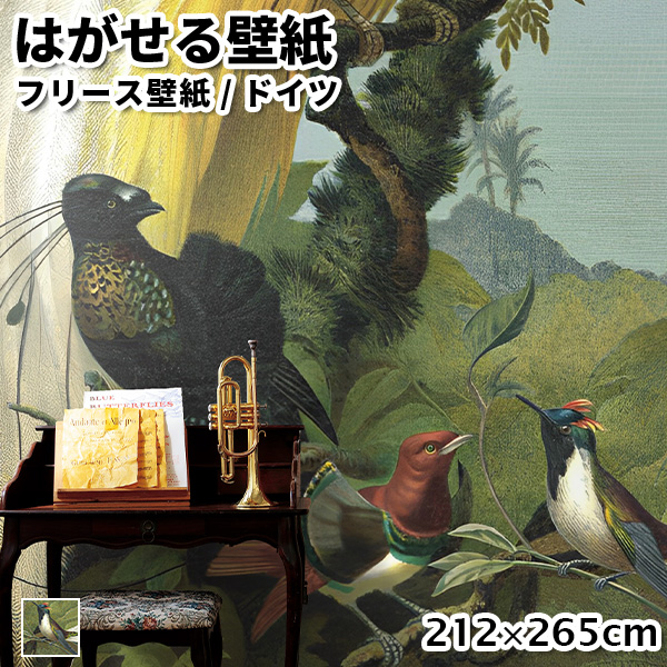 壁紙 輸入壁紙 rasch Curiosity 212x265cm 全1色 はがせる壁紙 貼ってはがせる壁紙 フリース壁紙 おしゃれ 張り替え diy 北欧 賃貸 インテリア ドイツ製