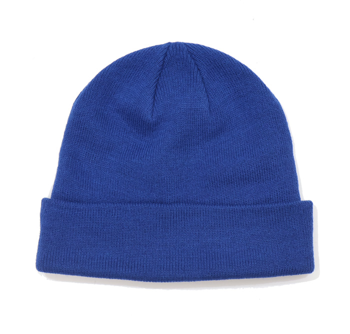 激レア PLAIN SANE ニットキャップ オリジナル ヴィンテージ（青） 激レア PLAIN SANE ニットキャップ オリジナル ヴィンテージ（青）