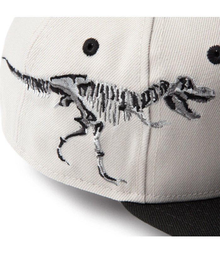 NEW ERA ニューエラ キッズサイズ Youth 9FIFTY Dinosaur