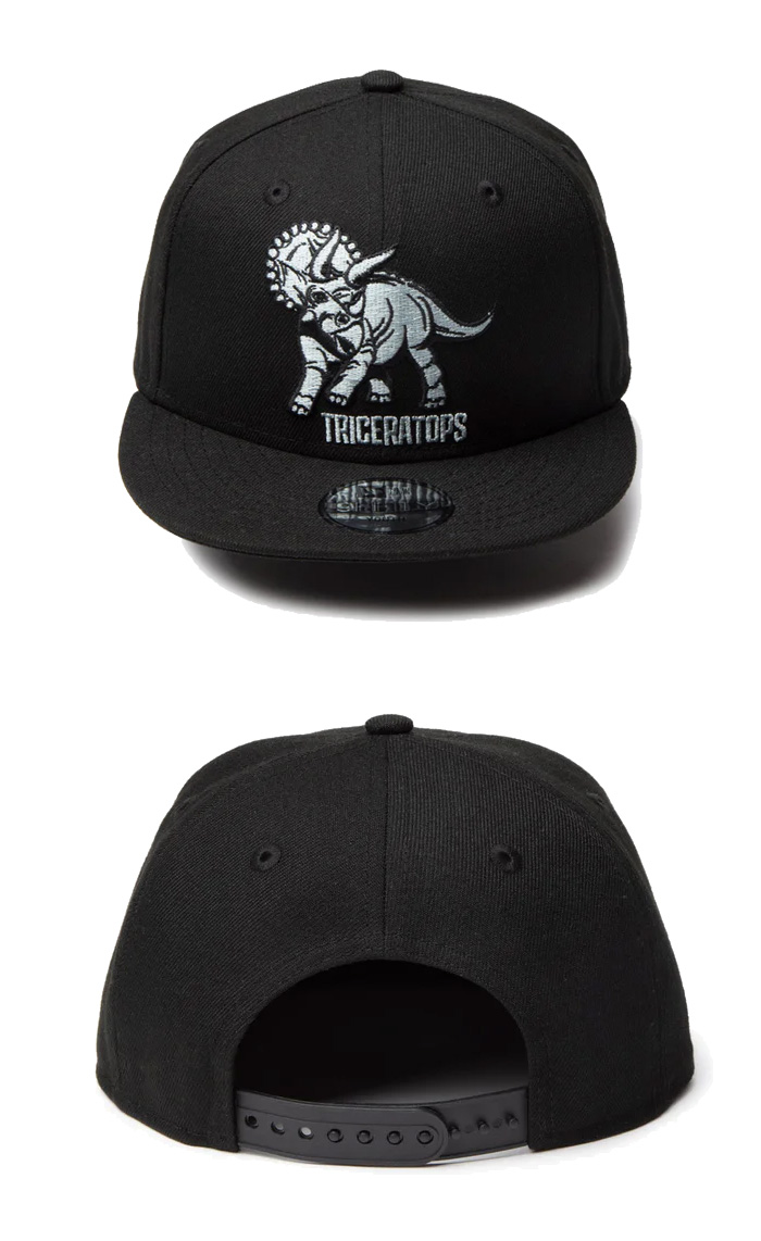 NEW ERA ニューエラ キッズサイズ Youth 9FIFTY Dinosaur