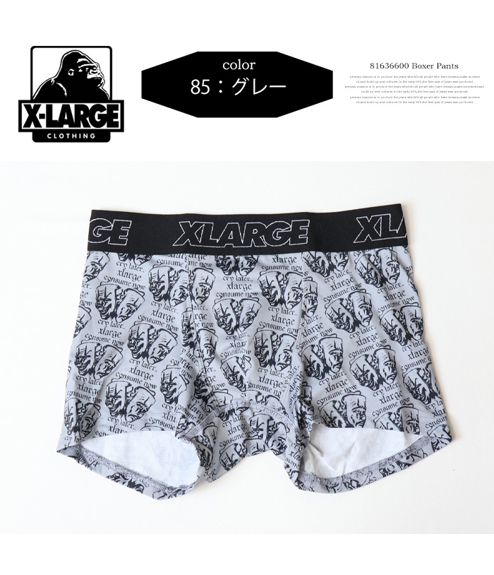 XLARGE（エクストラ ラージ） X-LARGE ボクサーパンツ Two mask