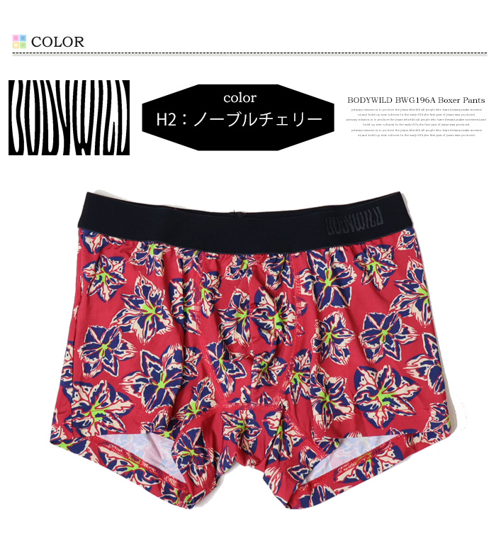 BODY WILD（ボディワイルド） GUNZE グンゼ ボクサーパンツ 前とじ 総