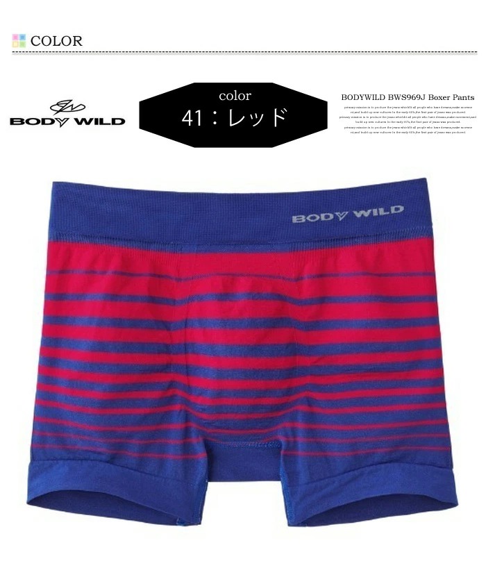 GUNZE グンゼ BODY WILD ボディワイルド ボクサーパンツ ボーダー柄 前とじ 立体成型 日本製 アンダーウェア 下着 パンツ メンズ  BWS969J