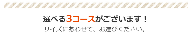 選べる3コースがございます!