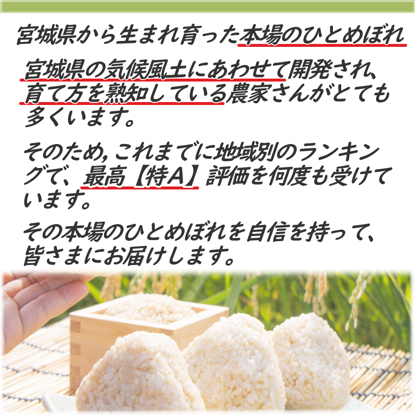 精米時期9月中旬】令和5年産 新米 宮城県産 ひとめぼれ 5kg×4袋 送料