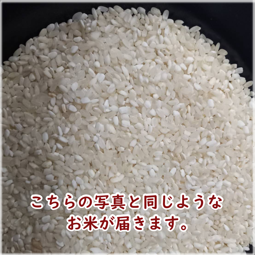 米 30kg 安い 精米 お米 白米 送料無料 ブレンド米 10kg ×3袋 30キロ