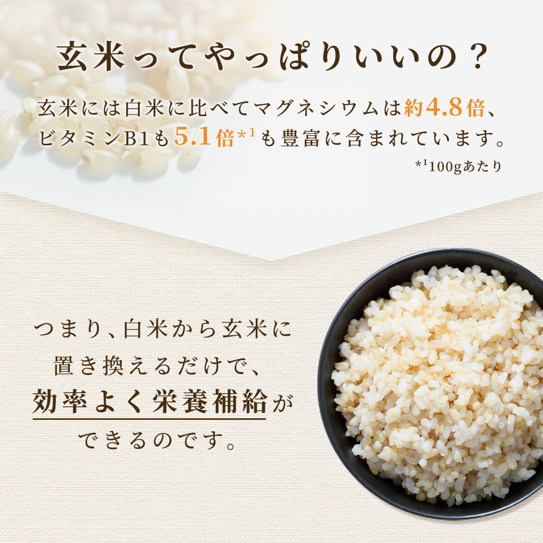 玄米 5kg 毎日の玄米 送料無料 ５ｋｇ 国産 米 5キロ