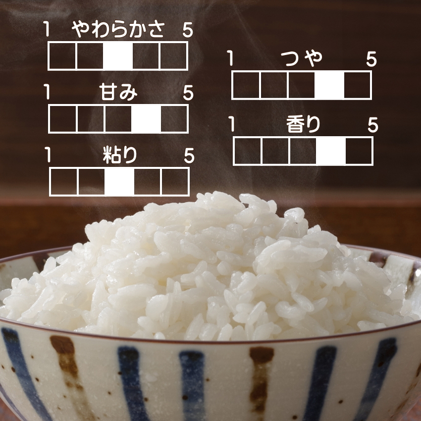 無洗米 新米 30kg 令和5年 宮城県産 まなむすめ 送料無料 10kg×3袋 : mana30 : Rice Shop Another - 通販  - Yahoo!ショッピング