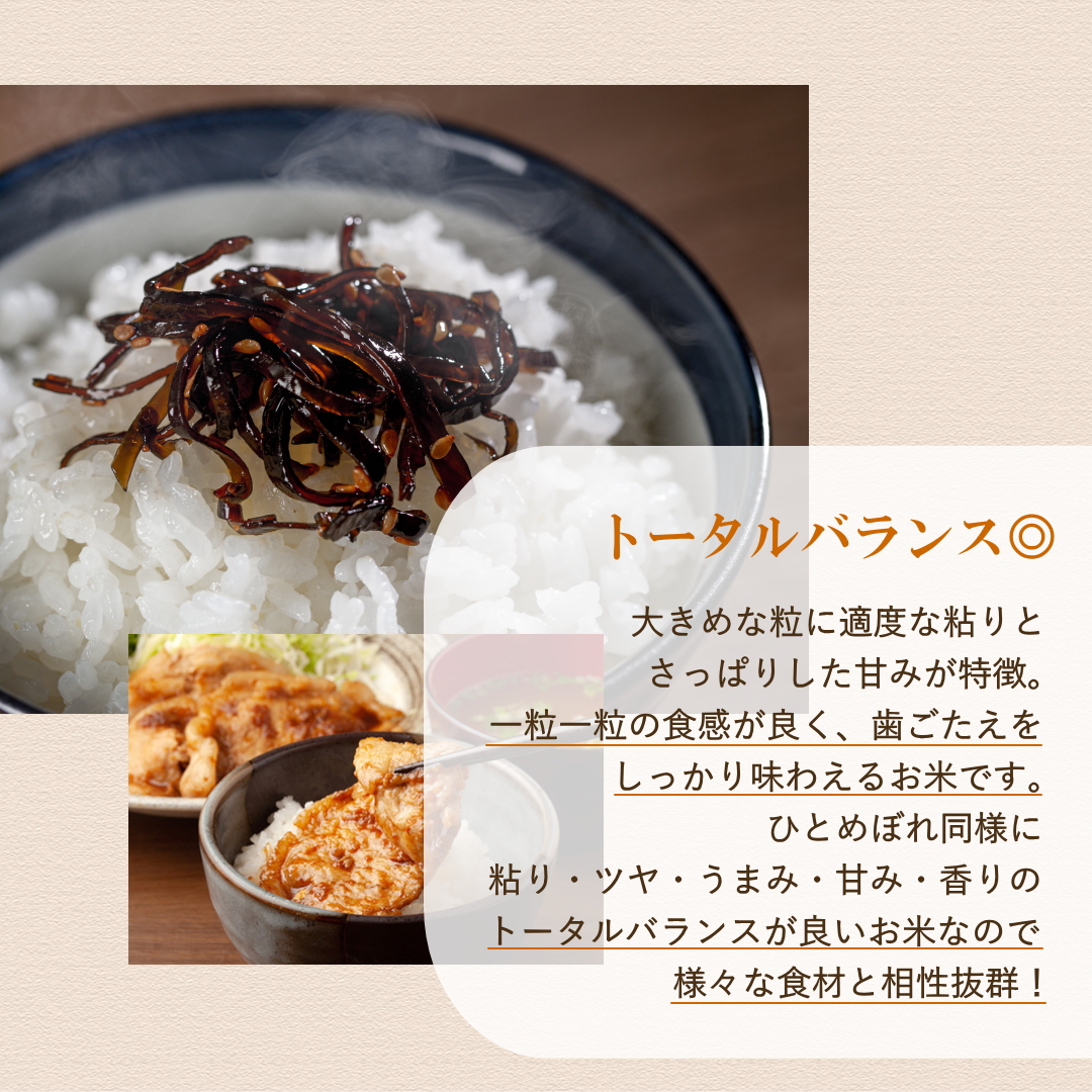 無洗米 新米 30kg 令和5年 宮城県産 まなむすめ 送料無料 10kg×3袋 : mana30 : Rice Shop Another - 通販  - Yahoo!ショッピング