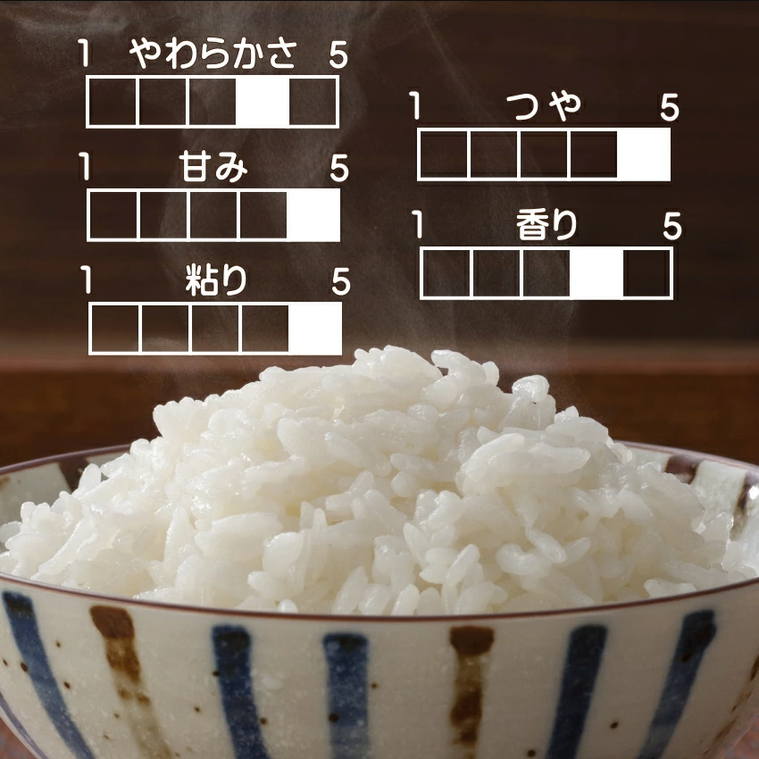 無洗米 新米 10kg 令和7年 宮城県産 つや姫 送料無料 5kg×2袋 : Rice
