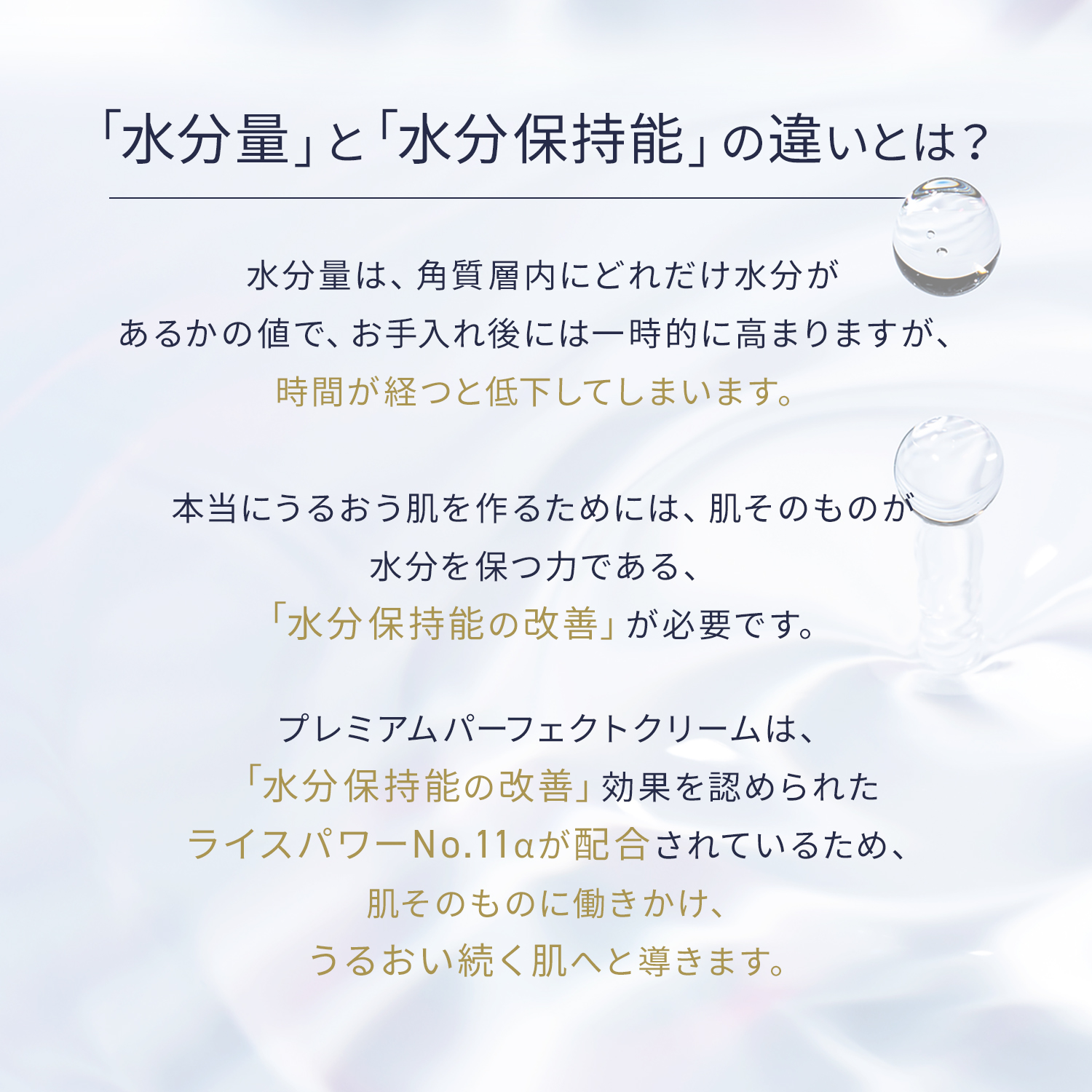 RICE FORCE 公式 保湿クリーム エイジングケア クリーム ライス