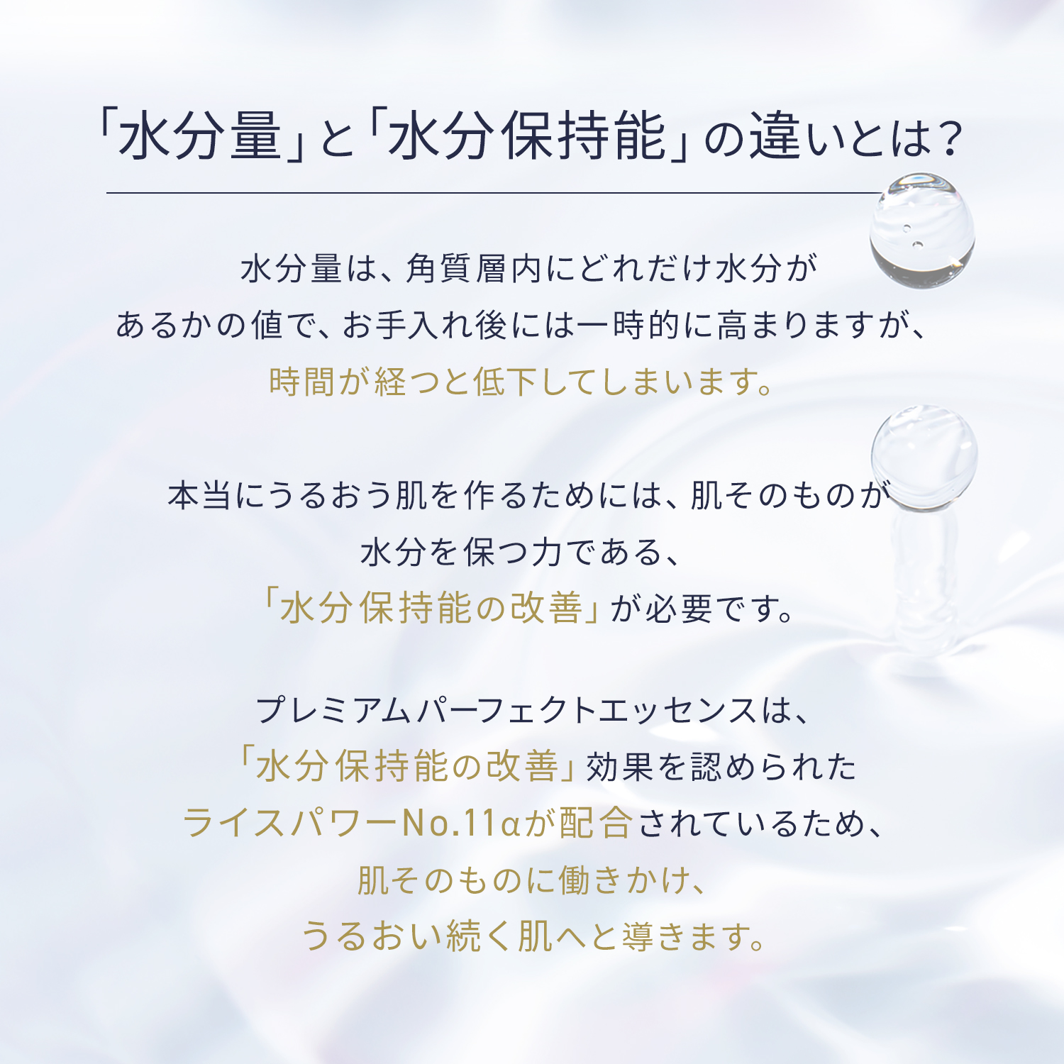 美容液 ライスフォース ライスパワーNo.11α エイジングケア 濃密うるおいタイプ 高保湿 肌荒れ防止 ハリ プレミアムパーフェクトエッセンス  30ml 公式