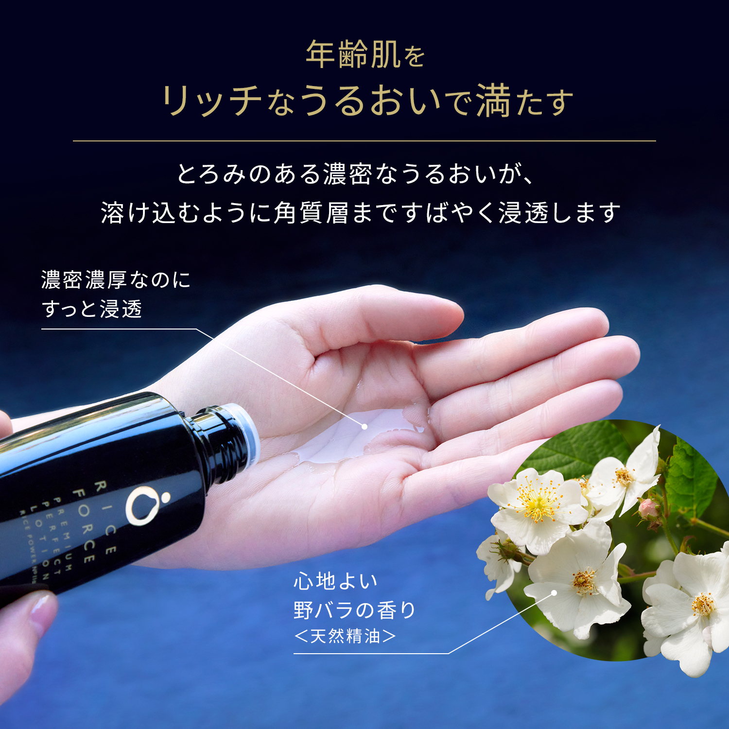 RICE FORCE 化粧水 ライスパワーNo.11α エイジングケア 濃密
