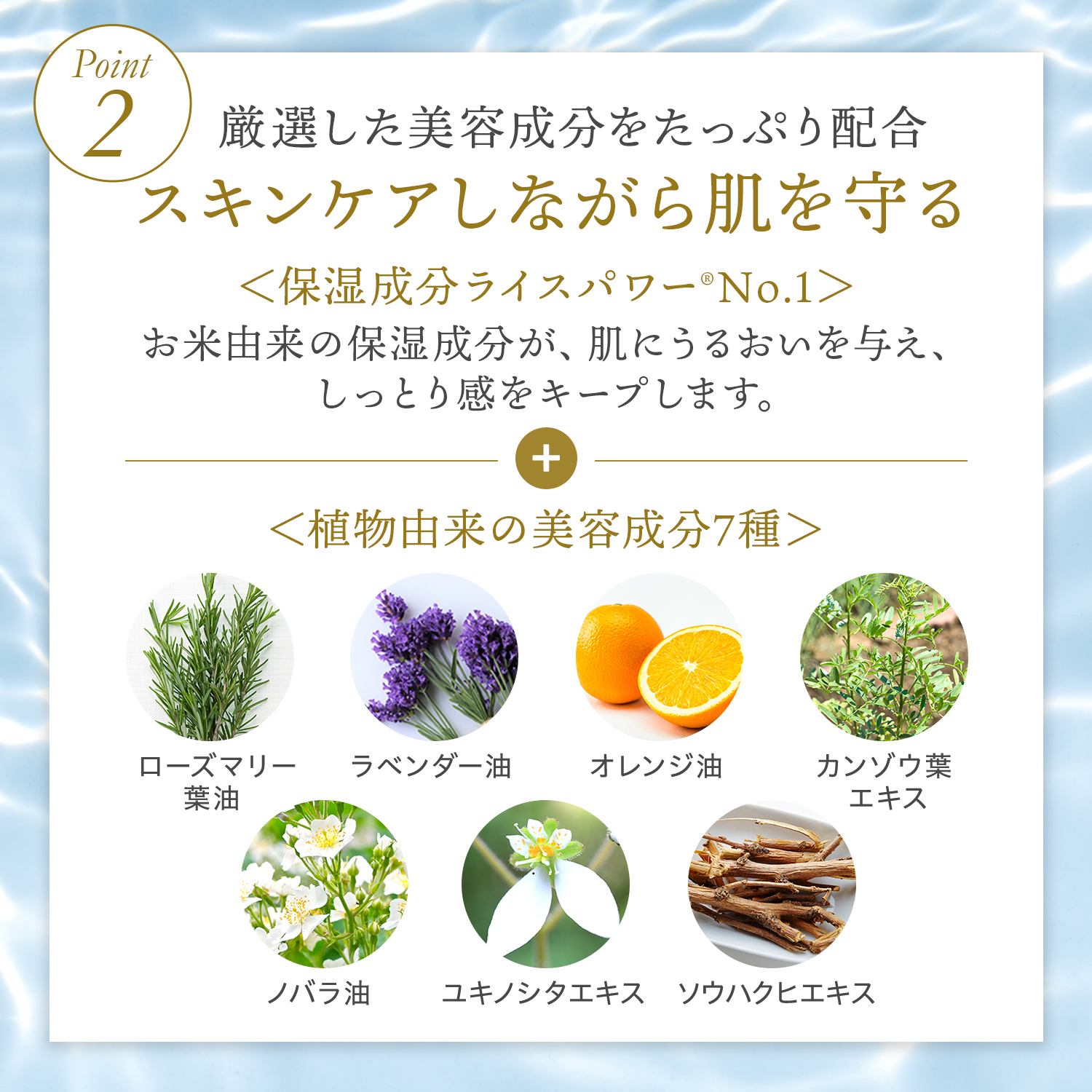 RICE FORCE（ライスフォース） 化粧下地 日焼け止め 美容成分/敏感肌