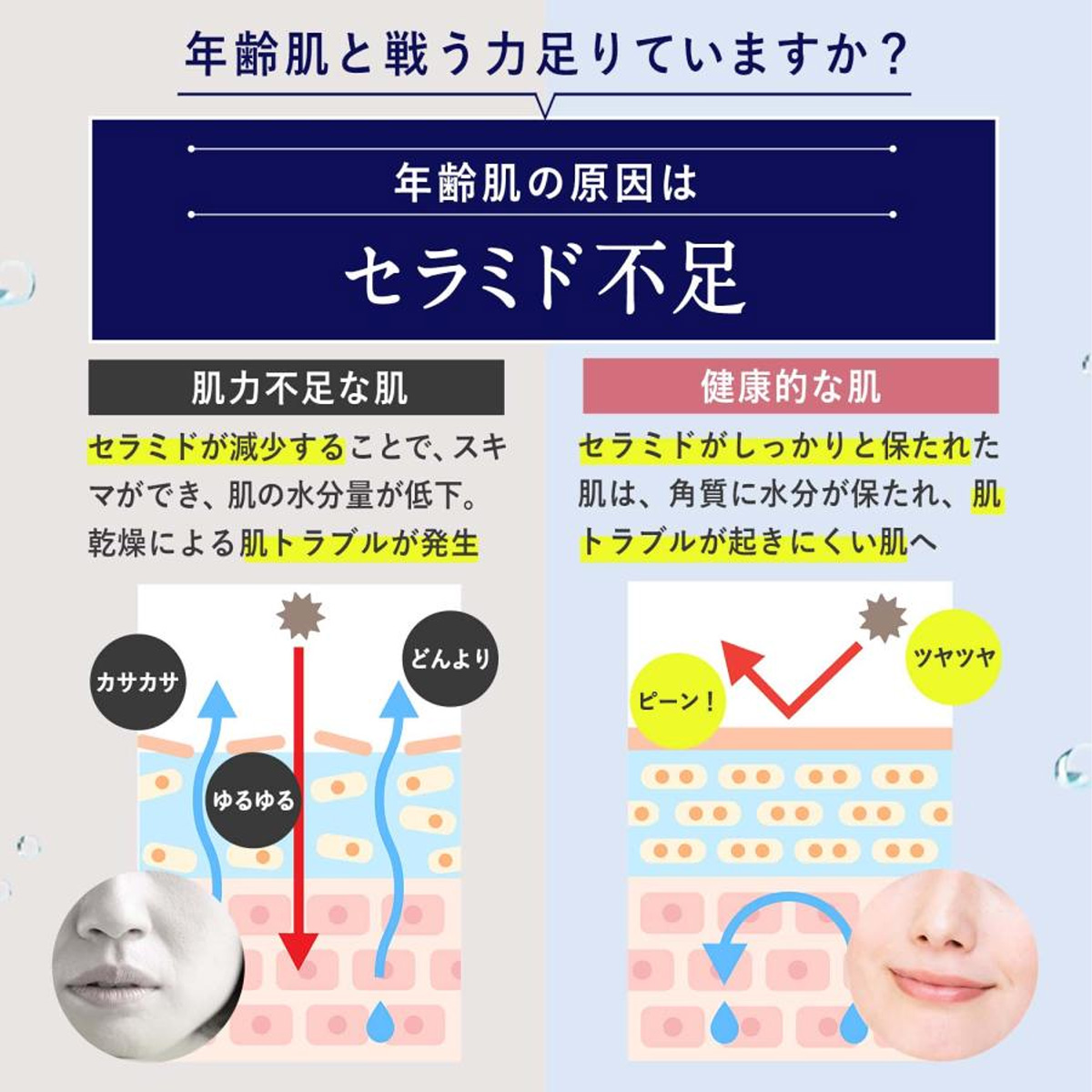 RICE FORCE 公式 保湿クリーム 顔 無添加 ライスフォース ライス