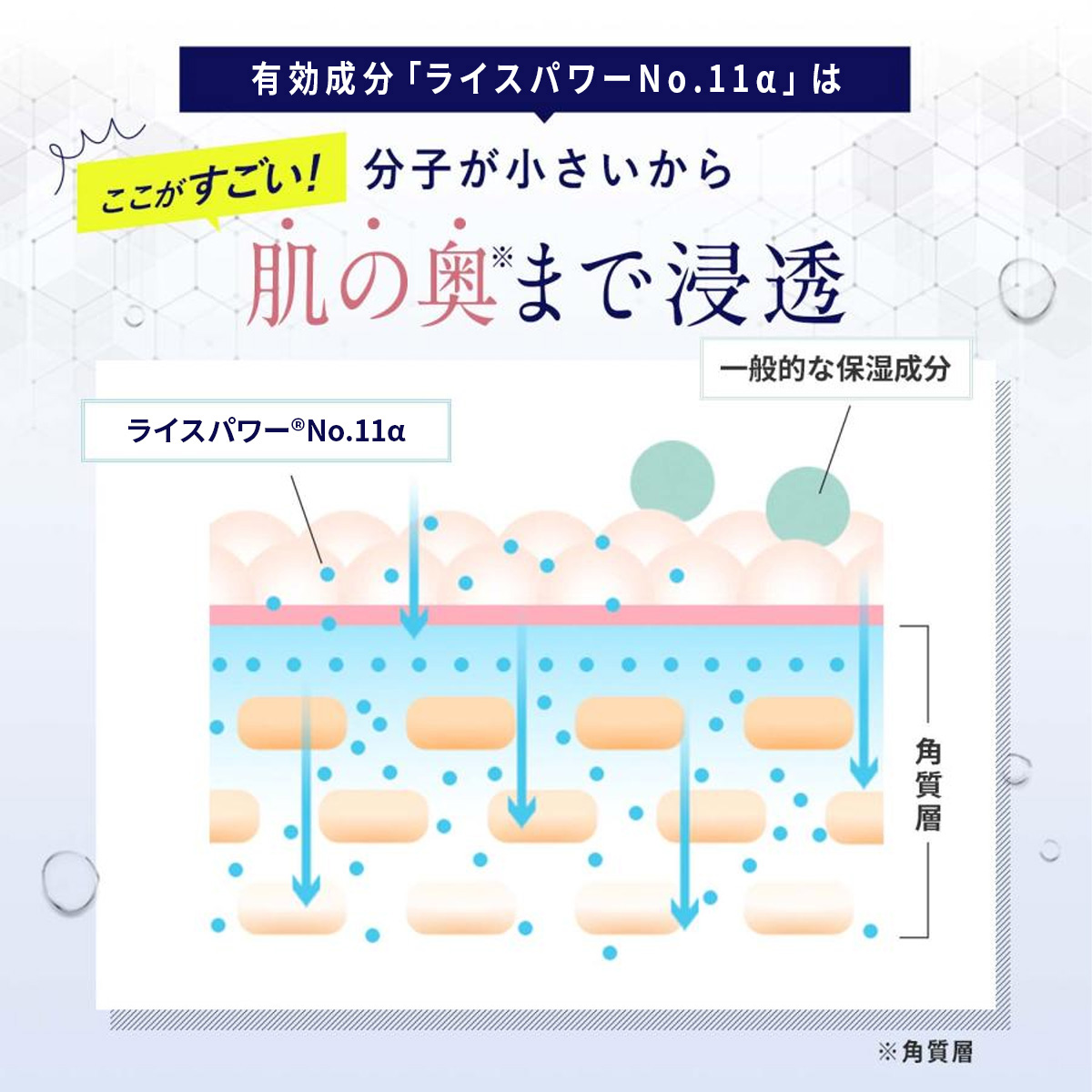 ライスフォース All Products | RICE FORCE Global Shopping │ Japanese