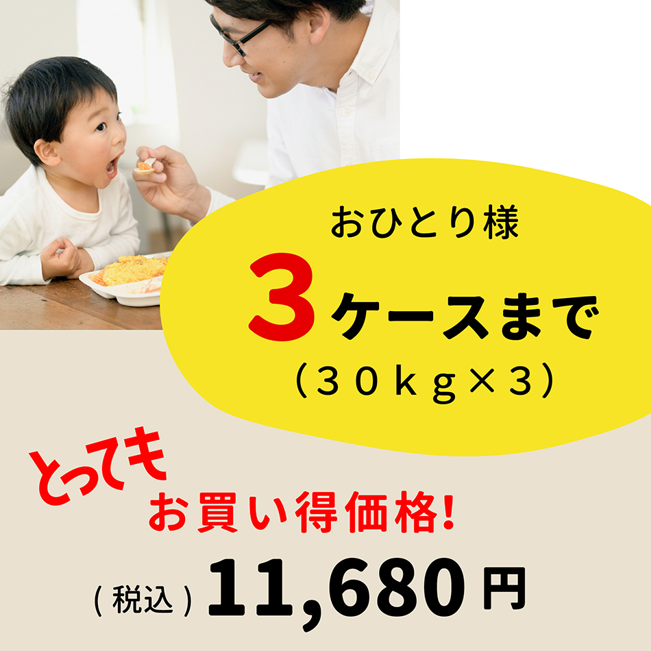 概要