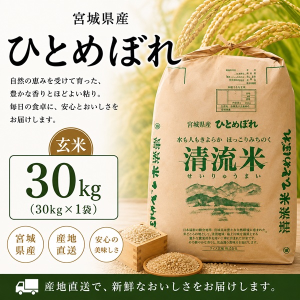 ひとめぼれ 令和7年産 宮城県産 登米産 玄米 30kg 未調整玄米 検査1等