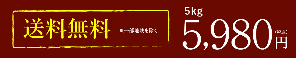 新米,みやこがね餅,餅米,もち米,5kg,令和7年産,宮城県産,餅米,送料無料