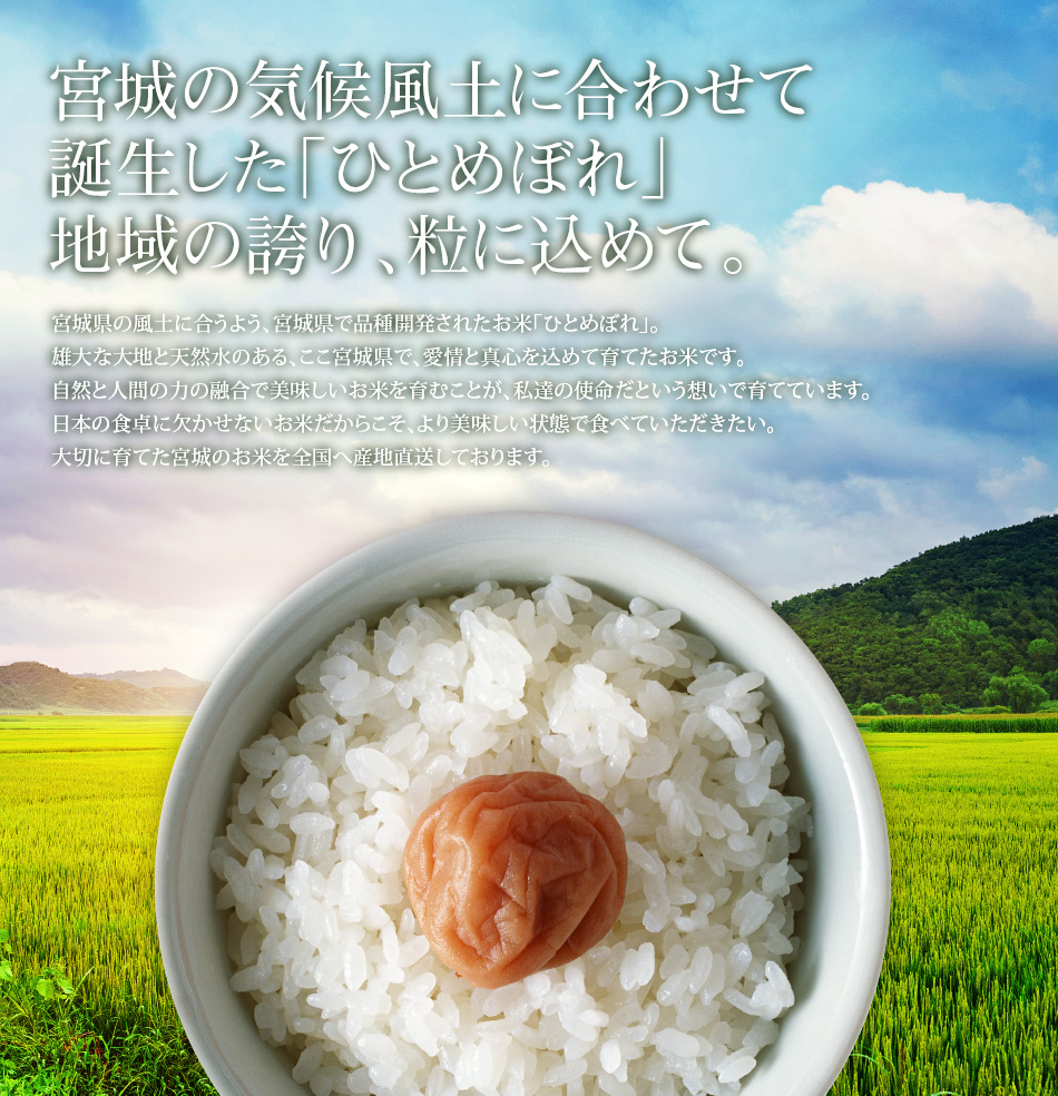 ひとめぼれ 2kg 少量 お試し 宮城県産 米 お米 令和7年産 送料無料
