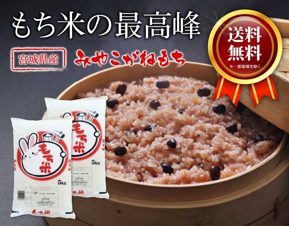 新米,みやこがね餅,餅米,もち米,10kg,令和7年産,宮城県産,餅米,送料無料