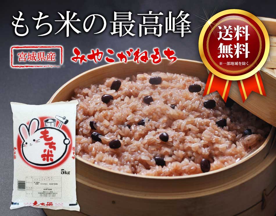 新米,みやこがね餅,餅米,もち米,5kg,令和7年産,宮城県産,餅米,送料無料
