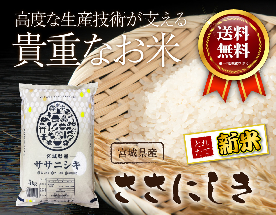 ササニシキ 宮城県産 米 10kg お米 令和5年産 ささにしき 5kgx2袋 白米