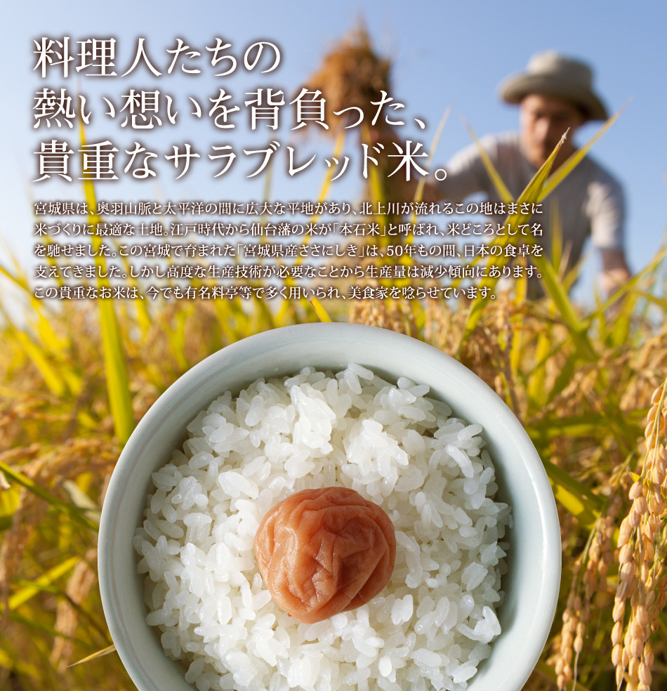 ササニシキ 新米 2kg 少量 お試し 米 2kg お米 白米 宮城県産 令和7