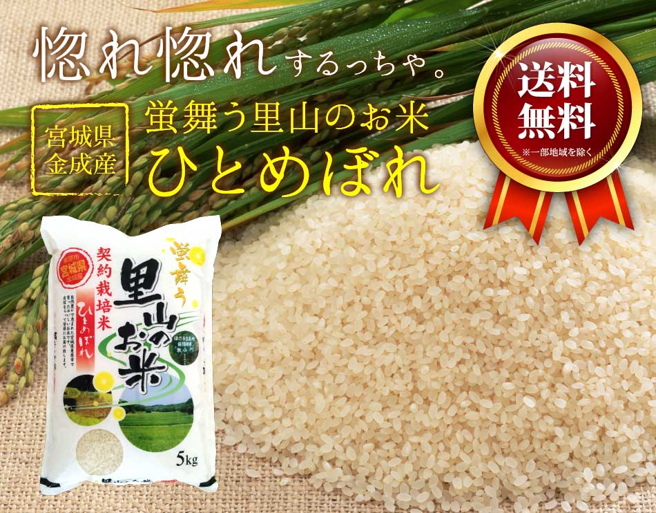 宮城県産ひとめぼれ 令和3年度 新米 新米！宮城農家契約米(ひとめぼれ) 令和3年産 精米10K