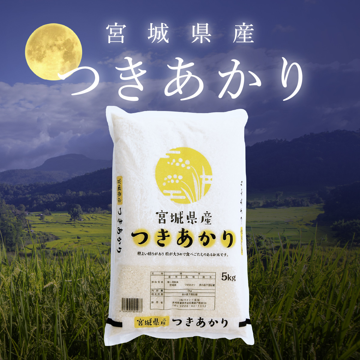つきあかり