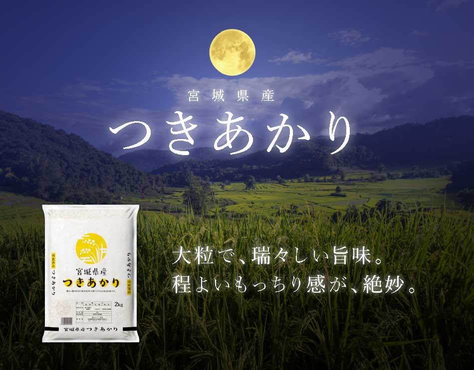 新米 つきあかり 2kg 米 宮城県産 少量 お試し 米2kg お米 令和8年産