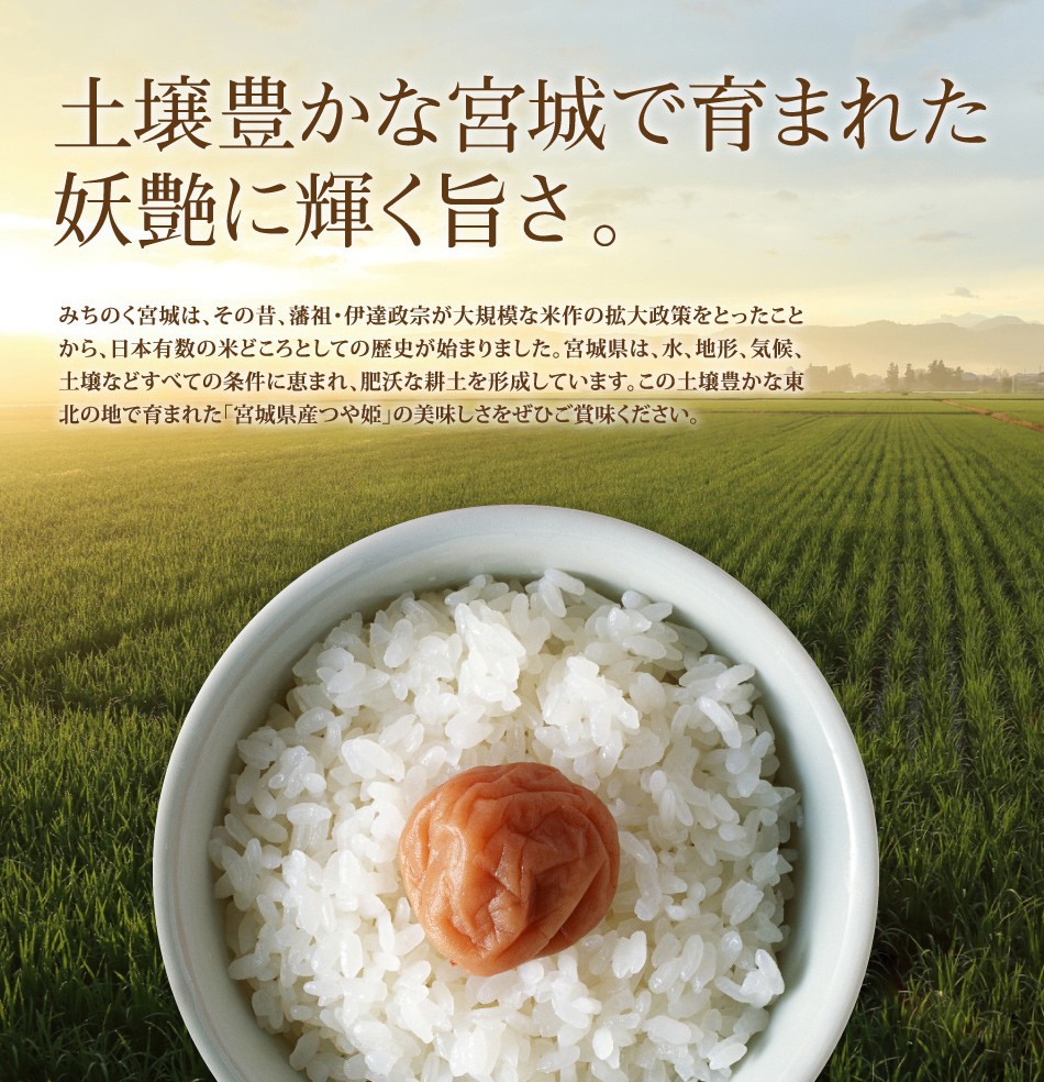 つや姫 10kg 米 米10kg お米 白米 宮城県産 令和7年産 送料無料 5kg×2