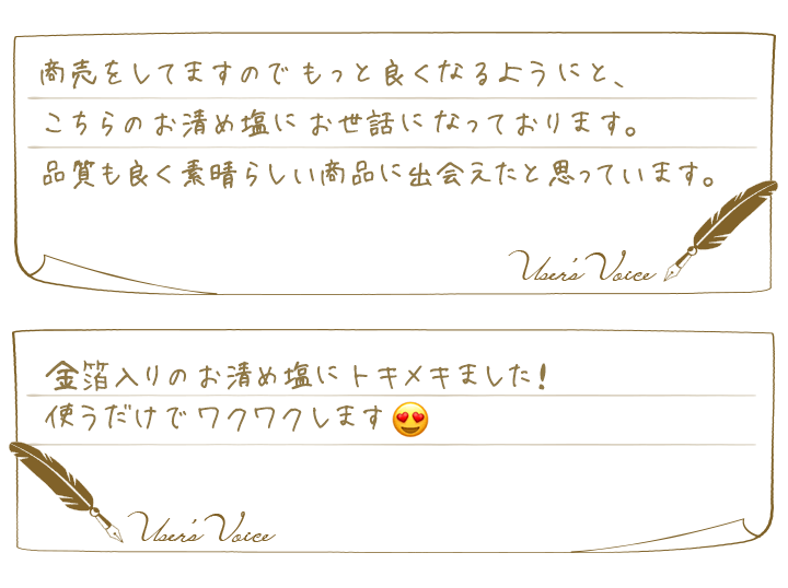 WISH DETOX お清め塩 最強金運 盛り塩 盛塩 沖縄 金運 アップ 神塩 八角