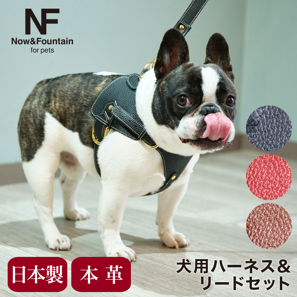 nffp-beltleada2.jpg