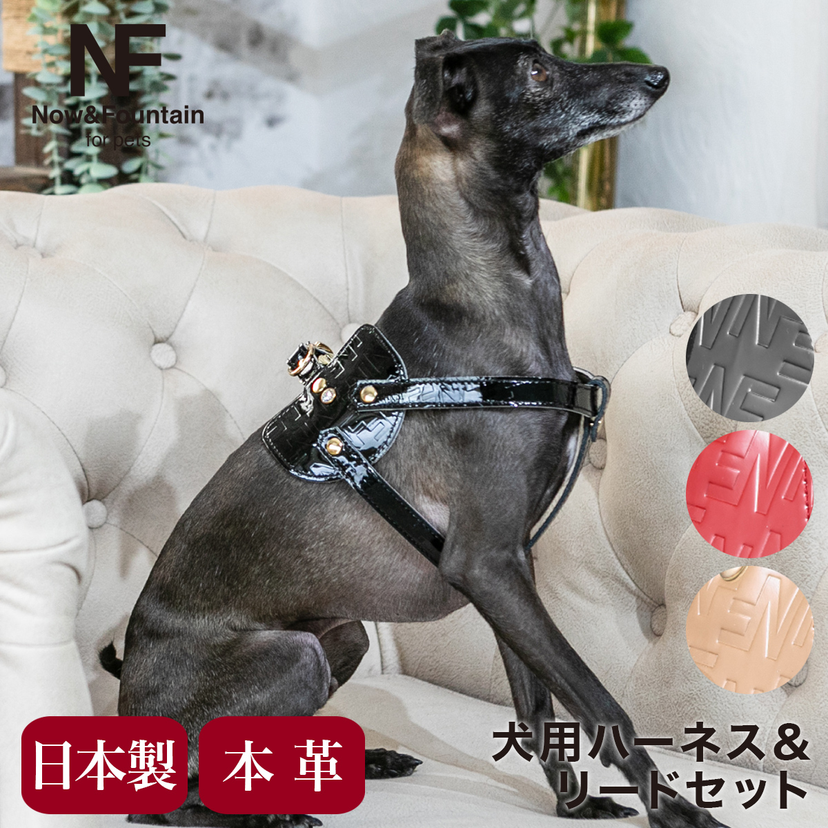 エヌアンドエフ ペット ハーネス＆リードセット 小型犬 ハーネス