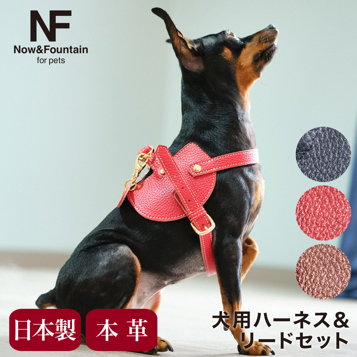 ペット　犬　ハーネス　リード　革 nffp-beltleadc2.jpg