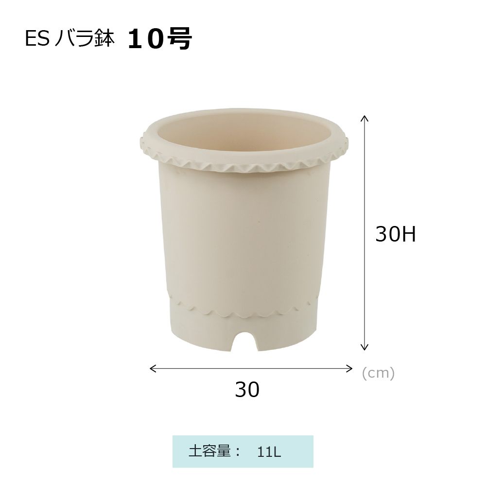 ES バラ鉢 10号