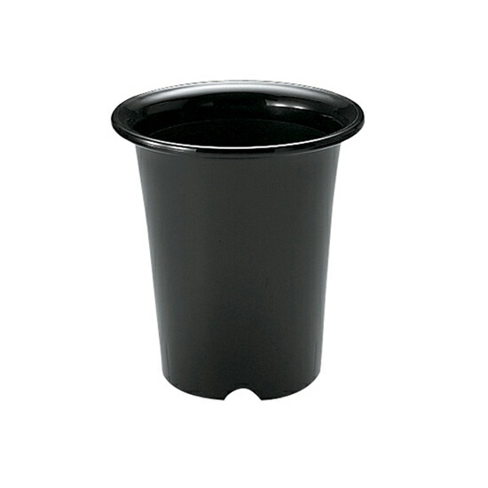 洋ラン鉢 5号 072853 リッチェル Richell 公式ショップ | リッチェル | 01