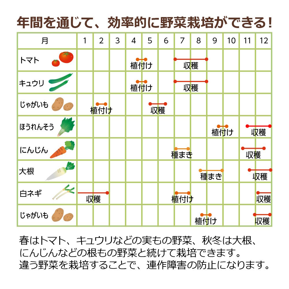 リッチェル（Richell） プランター 長方形 菜園上手 深50型 おしゃれ
