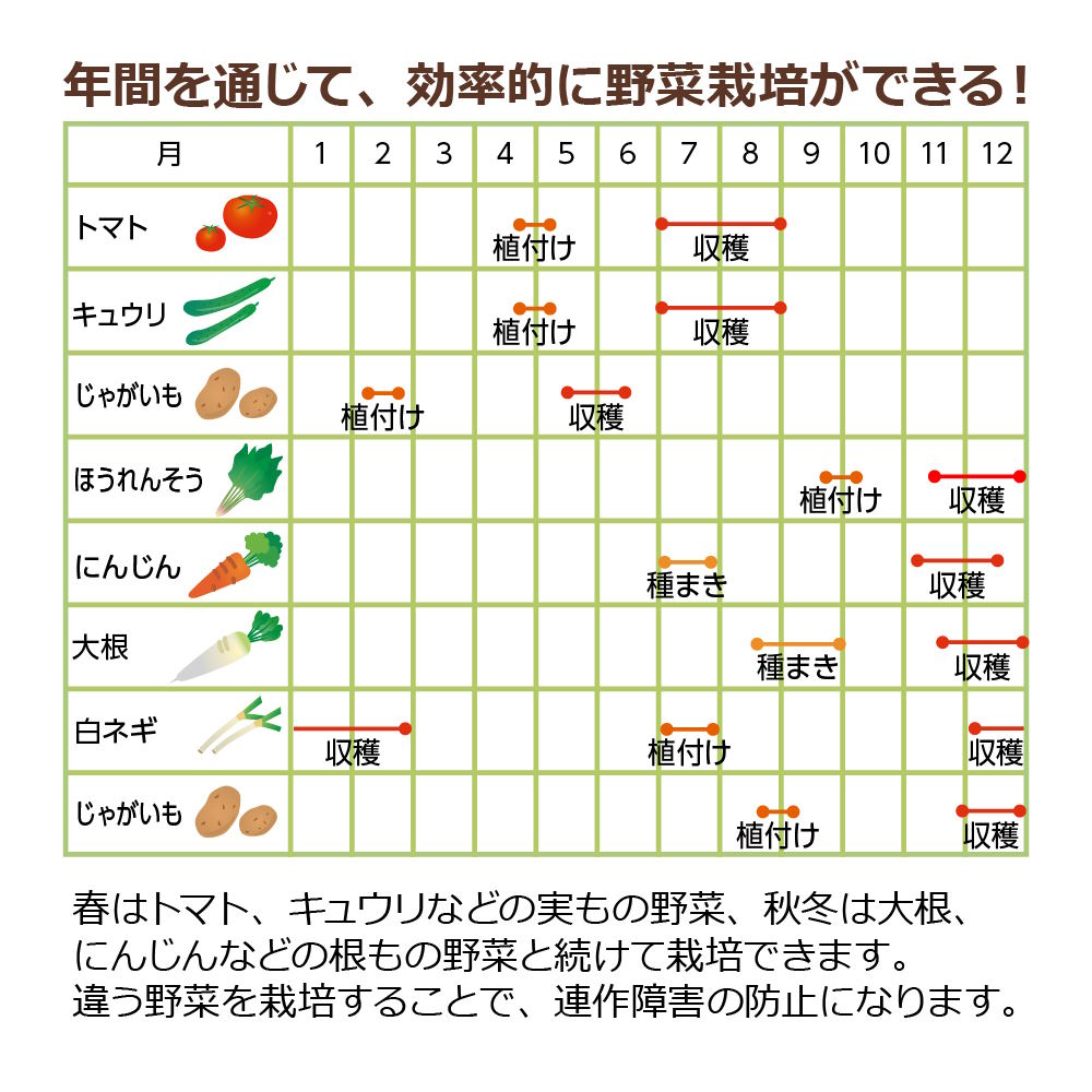 菜園上手 ジャンボ 65型