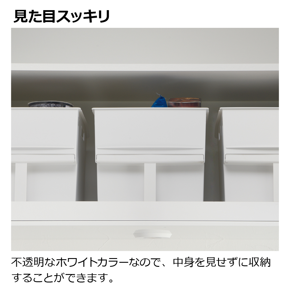 トトノ 吊り戸棚用 マルチストッカー ワイド