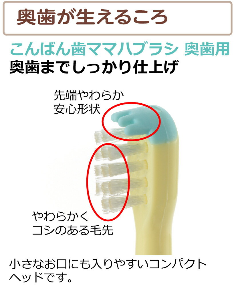 トライこんばん歯ママハブラシ奥歯用2本入