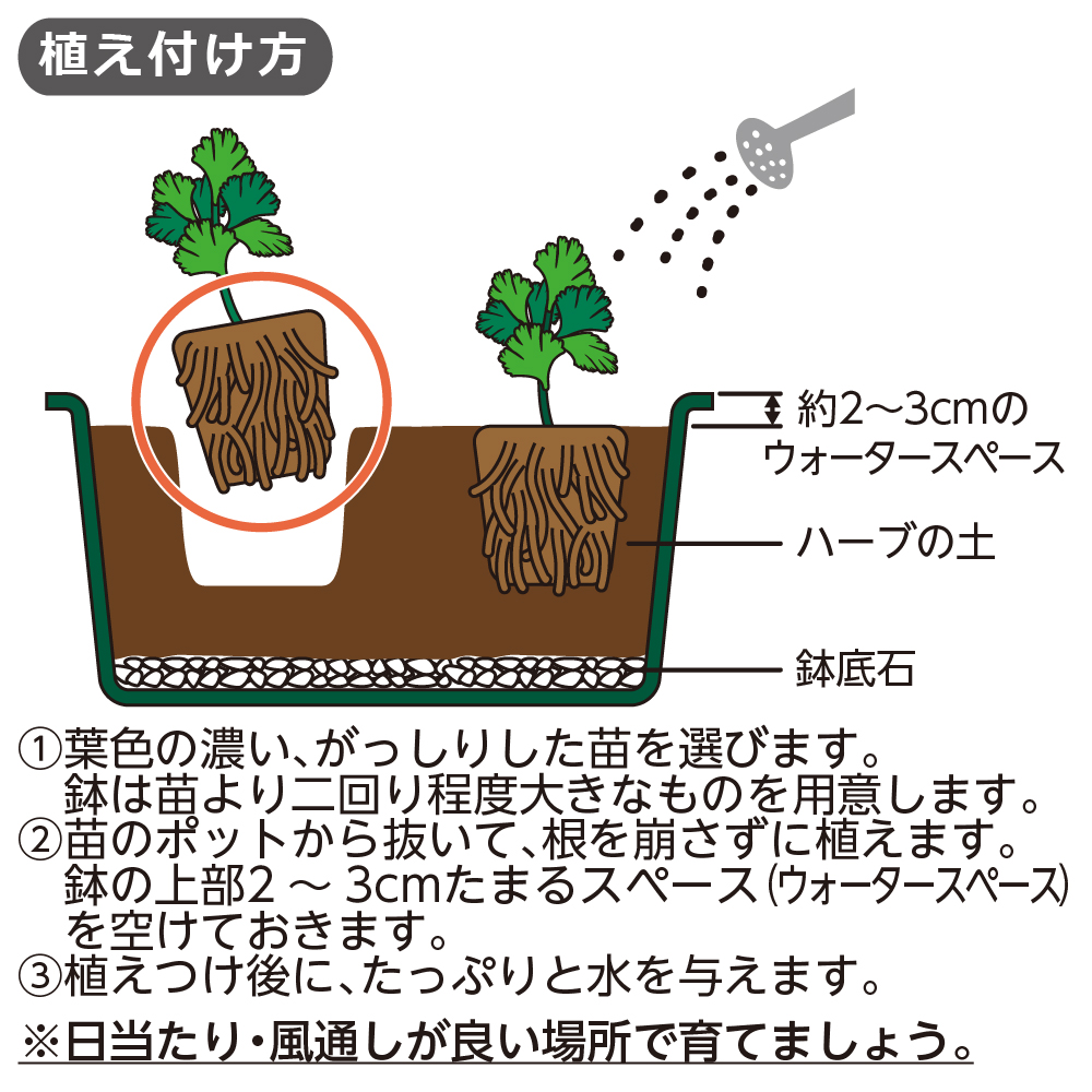 クロレラの恵みRハーブの土5L