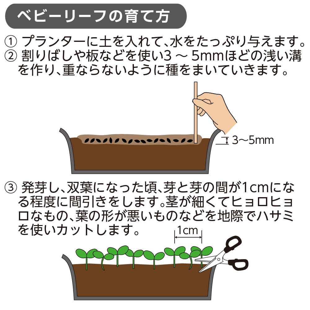 クロレラの恵みR 種まきとベビーリーフの土