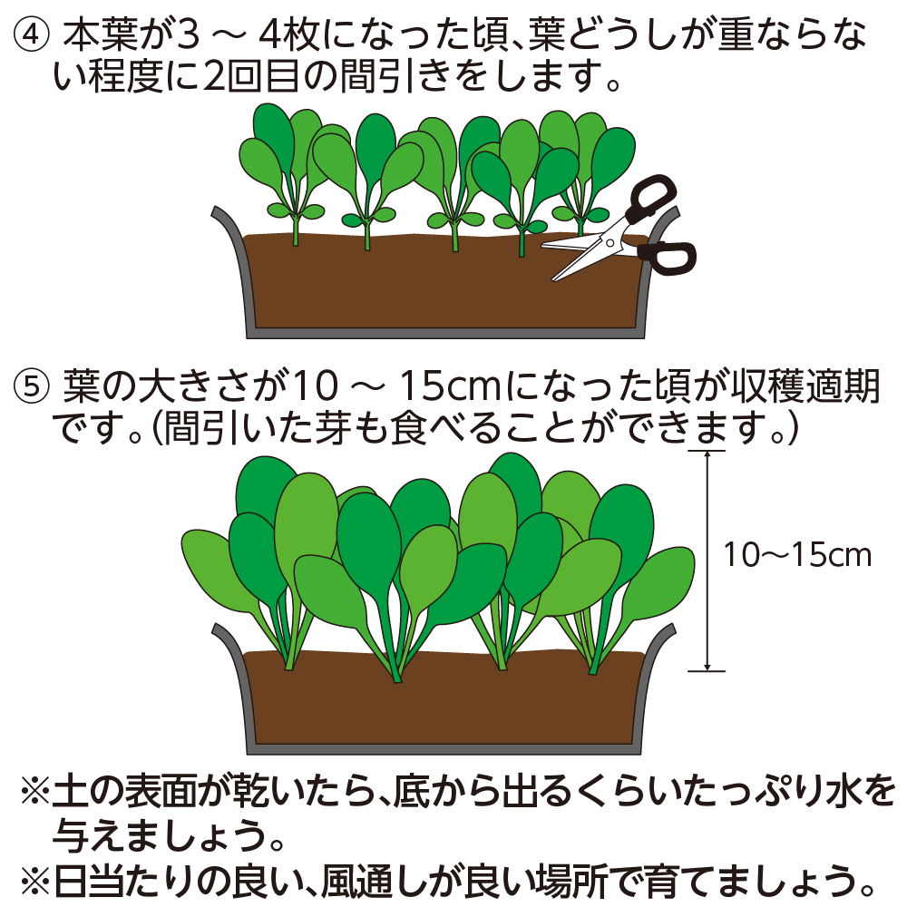 クロレラの恵みR 種まきとベビーリーフの土