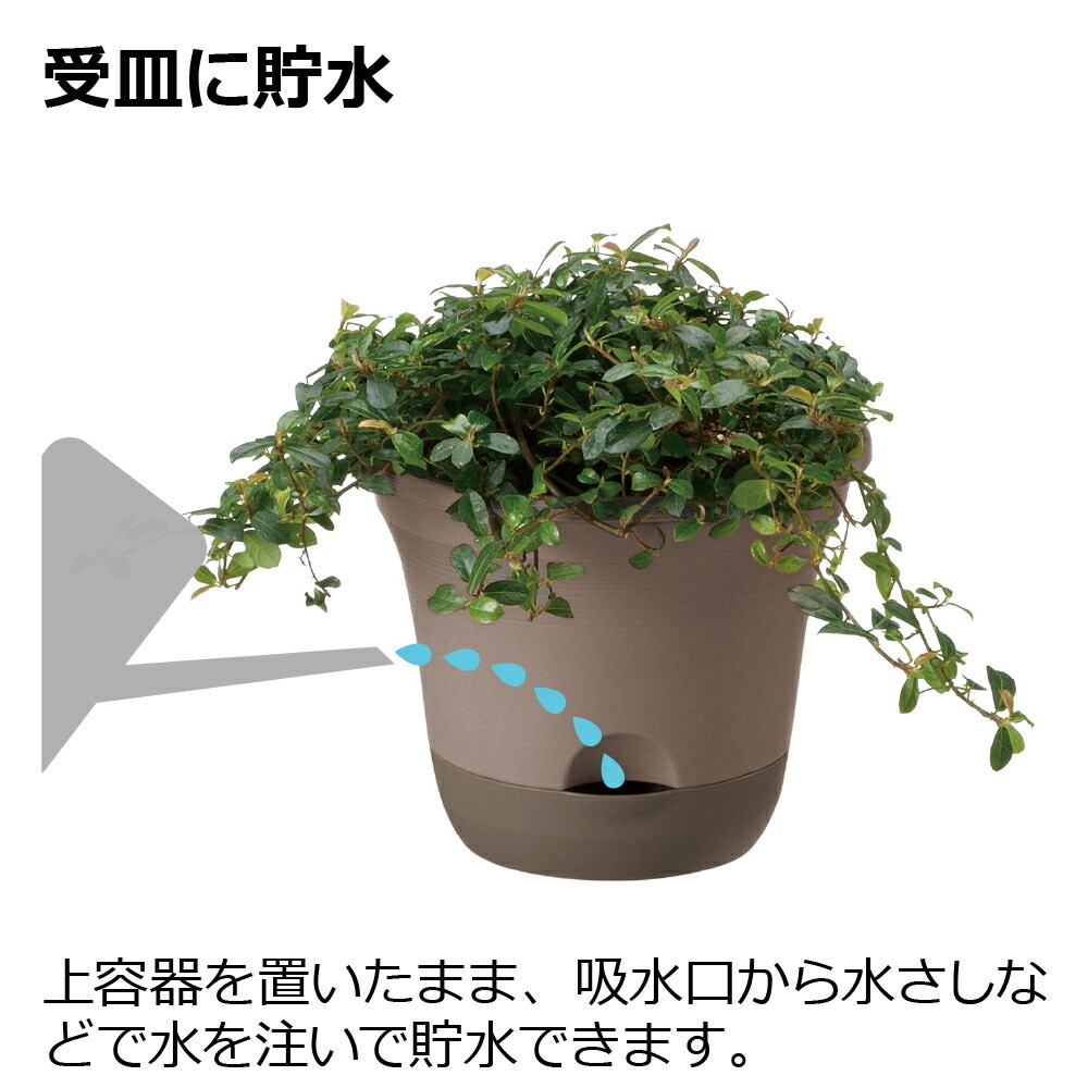 ウルオポット35型N