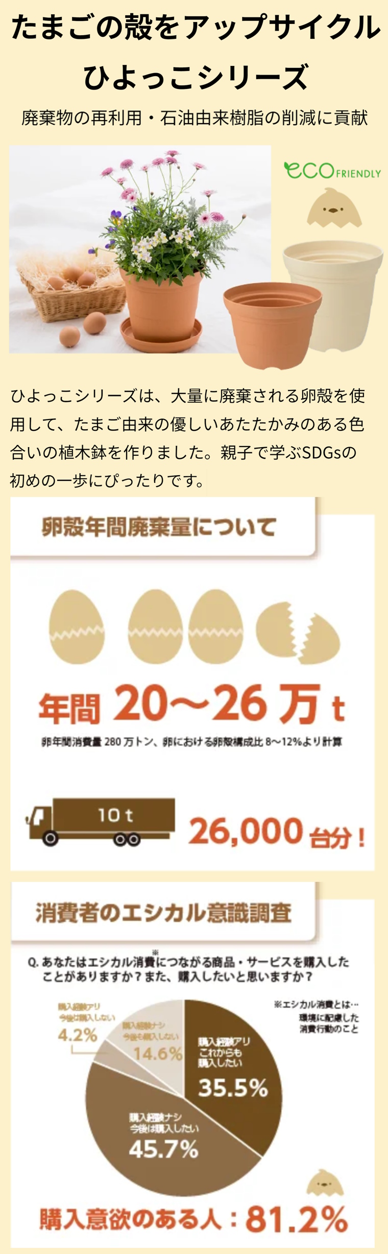 ひよっこ